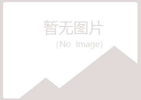 尼玛县夏日工程有限公司